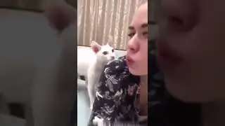 Сестра, где твой хиджаб? 