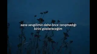 mitski - valentine, Texas// türkçe çeviri