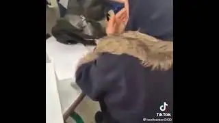 University fun