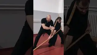 Boken vs bo #ninjutsu #shadowwarrior #bujinkan #kenjutsu #martialarts #ninja #katana