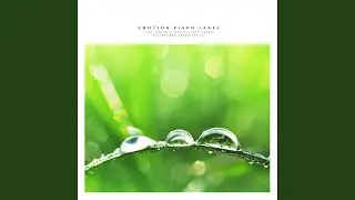 With Pure Heart (Nature Ver.)