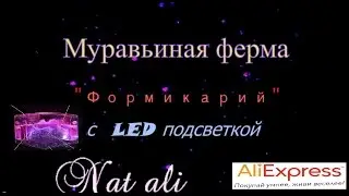 ШОК! Формикарий с LED подсветкой | Муравьиная ферма с AliExpress | Посылки из Китая