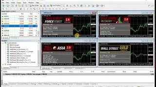 How to install WallStreet 2.0 Evolution using automatic installer