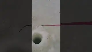 КАК РАБОТАЕТ КАРБОНОВЫЙ КИВОК ДЛЯ БЕЗМОТЫЛКИ !!!