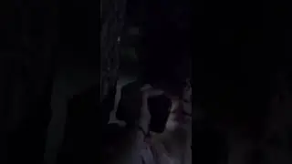 Never look behind you in a horror movie.