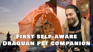 First self-aware Draguan pet companion :: Project 