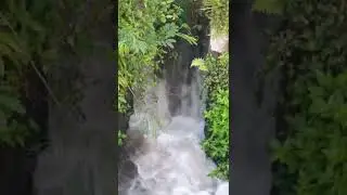 ALAM DESAKU JADI ALASAN SELALU PULANG KAMPUNG #alamdesa #alamdesaku