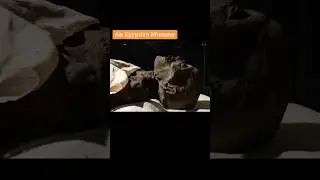 Medieval Egyptian #Mummy Medicine #history #viralshort #fyp #foryou #ancientegypt #egyptianmummy