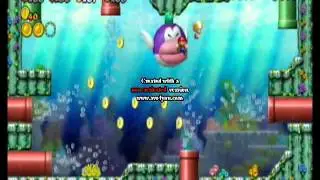 New Super Mario Bros. Wii LOL Game Over