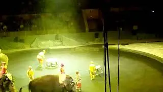 Кто в армии был, тот в цирке не смеётся. В ЦИРКЕ НЕ ВСЕГДА СМЕШНО. Говно работа.