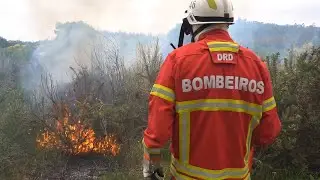 Geoforest: A comunidade florestal do Tâmega
