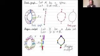 The mapper algorithm and Reeb graphs