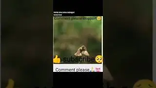 please stopport🥺🥺🥺🥺🥺🥺🥺🥺🥺🥺🥺🥺🥺🥺🥺🥺🥺🥺🥺🥺🥺🥺🥺🥺🥺🥺🥺🥺🥺🥺🥺🥺🥺🥺🥺🥺🥺🥺🥺🥺🥺🥺🥺🥺🥺🥺🥺🥺🥺🙋