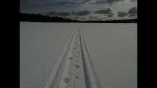 Рыбалка в поселке Залесье. Наловили и отдохнули!!
