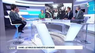 Chine : le virus qui inquiète le monde 