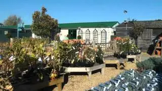Burford Garden Centre