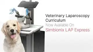 Veterinary Laparoscopy Curriculum