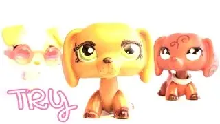 LPS Try (Colbie Caillat) For My Sister & Best Friend