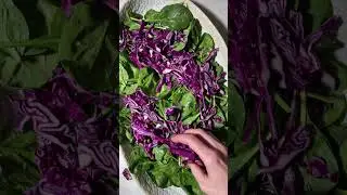the prettiest spring salad you’ve ever seen topped with a yummy lemon basil vinaigrette 