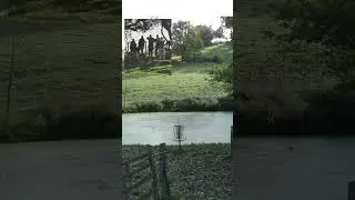 We almost caught an ace on camera at the British Champs last year. #discgolf #shorts #holeinone