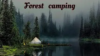 OUR BOLU TENT CAMP CAMPING AREA TURNED INTO HEAVEN