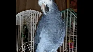 My Mom  Singing with my KaNicki