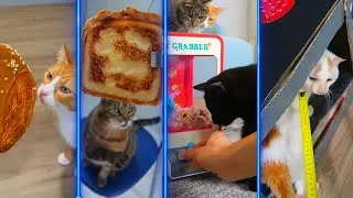 8 RESÚMENES MUY RÁPIDOS