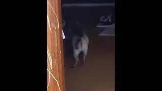 When owner has left somewhere