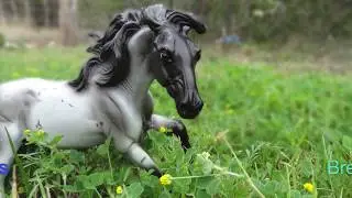 Breyer Realistic Pictures 2