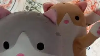 СУПЕР СТРИМ ЗЕФИРА И ПЕРСИКА!!