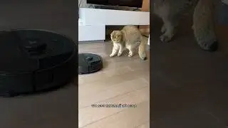 Признаки кожаного абьюза