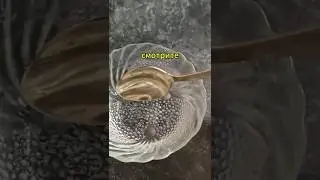 So that's the thing. Video by: @_ivan.54_ 