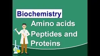 Biochemistry |The  Amino acids, Peptides and Proteins |