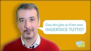 TUTORIAL BAU BOYS - Cosa devo fare se il mio cane ingerisce tutto?