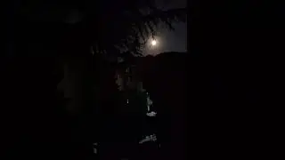 суперлуние на ладони