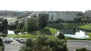 The College Experience: Coming to Gainesville