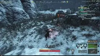 New World PvP highlights #1