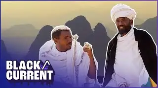 The Quest for the Lost Ark: A Black/Current Investigation |Black Current