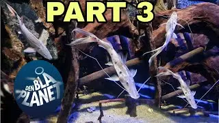 DEN BLÅ PLANET PART 3