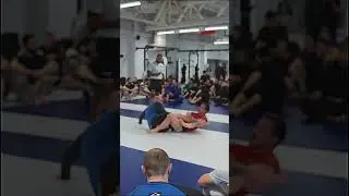 Самый большой день борьбы в России 150 человек!