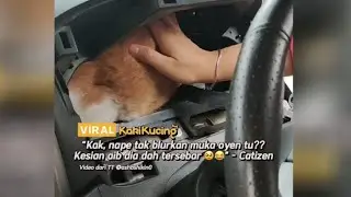 Viral Kakikucing | Oyen penakut! (Sorok dalam meter kereta)