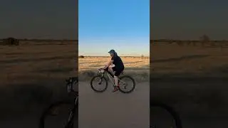 Лошадки и  велотуристы.