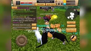 Краш сервера cat simulator animal life | с 16 до 1 игроков | 0 tps на сервере