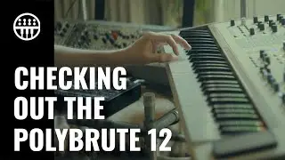 PolyBrute 12: First Look | Thomann