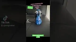 Shao Dow custom snail order