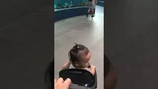 Baby time #viralreels #viral #viralvideo #funny #viralshort #disney #youtube #baby