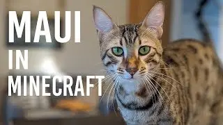 Maui In Minecraft
