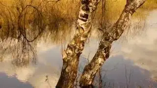 Страна березового ситца Михаила Корнева.