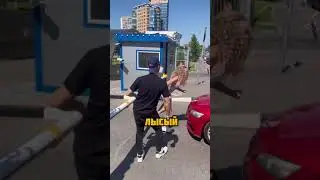 На кого смотрели?😂🙈 #Shorts