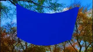 Green Screen Shadi background video HD